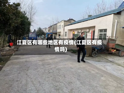 江夏区有哪些地区有疫情(江夏区有疫情吗)