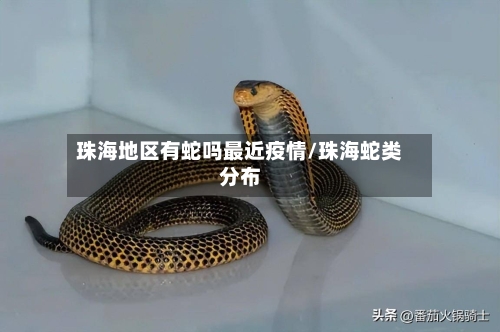 珠海地区有蛇吗最近疫情/珠海蛇类分布