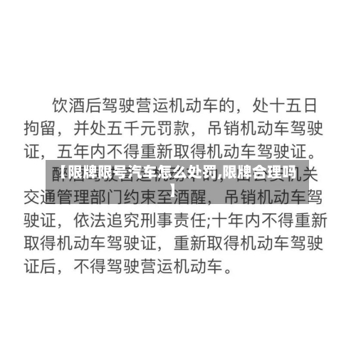 【限牌限号汽车怎么处罚,限牌合理吗】