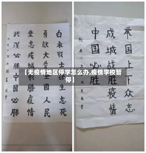 【无疫情地区停学怎么办,疫情学校暂停】
