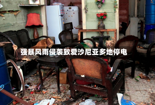 强暴风雨侵袭致爱沙尼亚多地停电