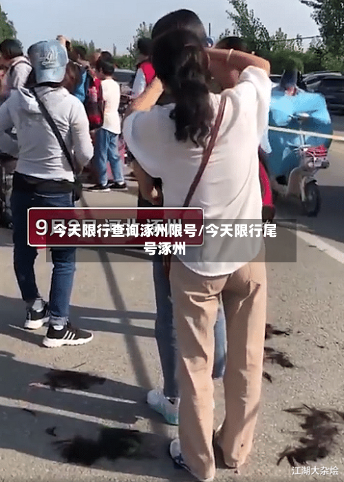 今天限行查询涿州限号/今天限行尾号涿州