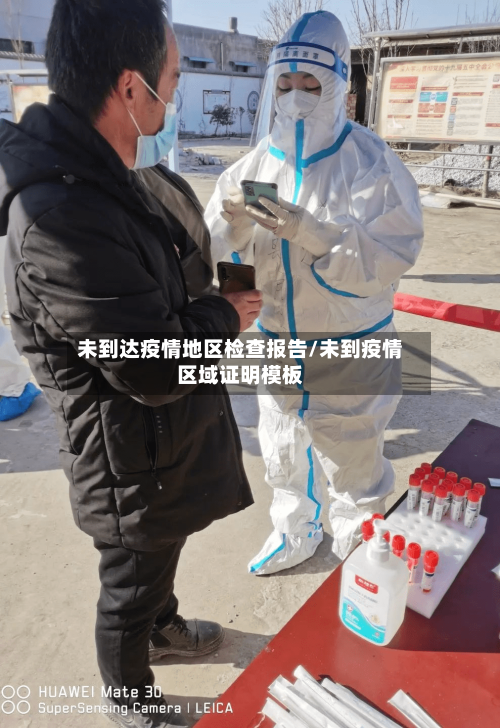 未到达疫情地区检查报告/未到疫情区域证明模板