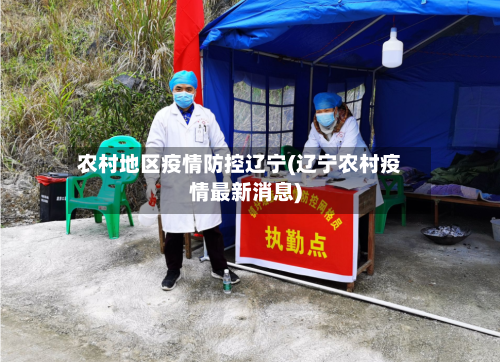 农村地区疫情防控辽宁(辽宁农村疫情最新消息)