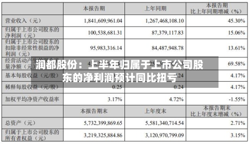 润都股份:上半年归属于上市公司股东的净利润预计同比扭亏