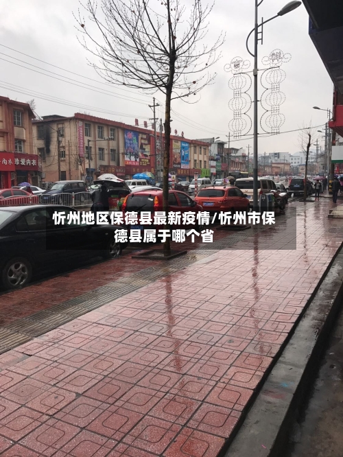 忻州地区保德县最新疫情/忻州市保德县属于哪个省