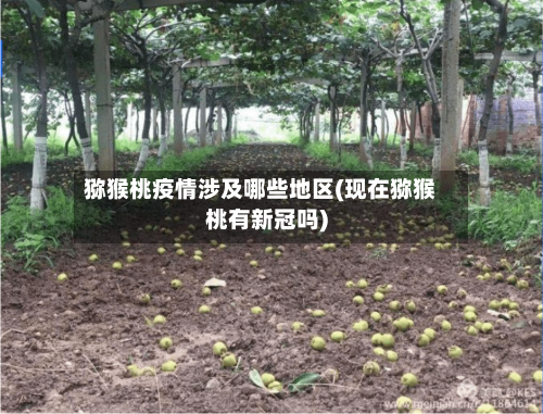猕猴桃疫情涉及哪些地区(现在猕猴桃有新冠吗)