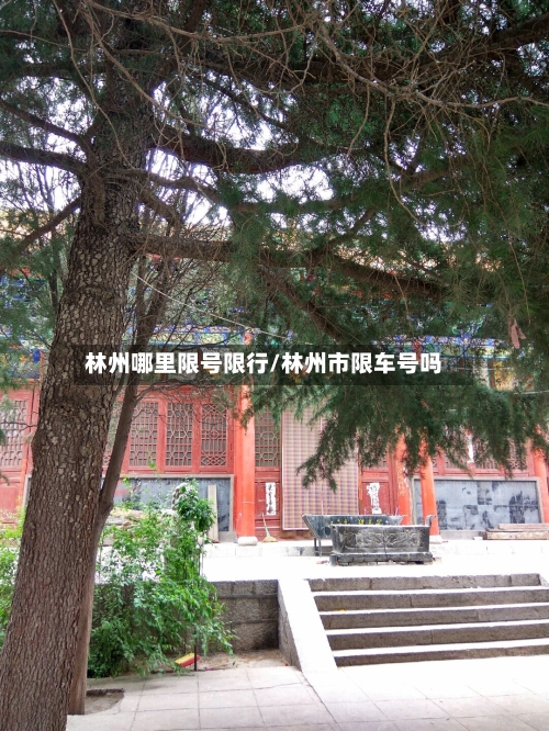 林州哪里限号限行/林州市限车号吗