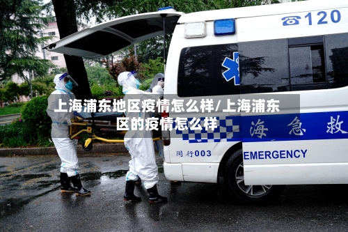 上海浦东地区疫情怎么样/上海浦东区的疫情怎么样