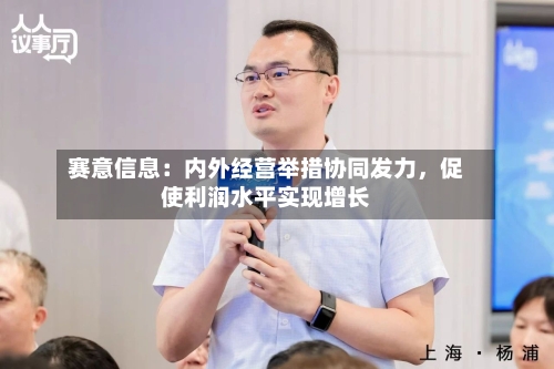 赛意信息：内外经营举措协同发力，促使利润水平实现增长