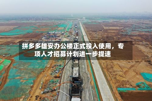 拼多多雄安办公楼正式投入使用，专项人才招募计划进一步提速