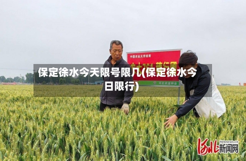 保定徐水今天限号限几(保定徐水今日限行)