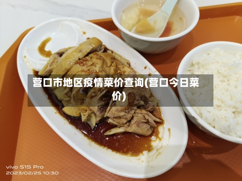 营口市地区疫情菜价查询(营口今日菜价)