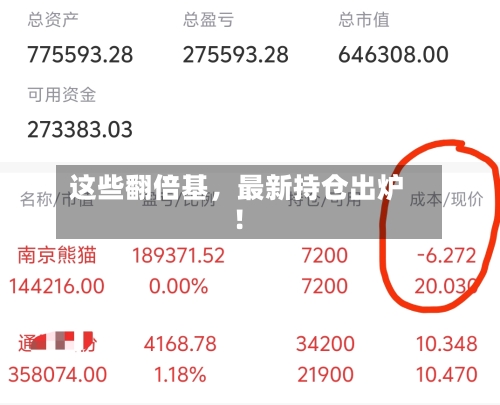 这些翻倍基，最新持仓出炉！