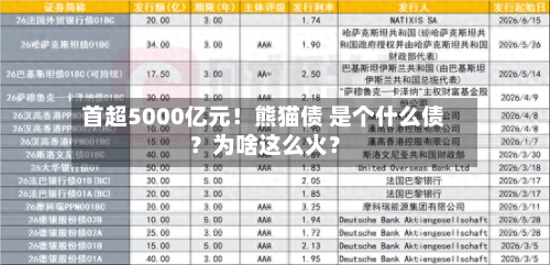 首超5000亿元！熊猫债 是个什么债？为啥这么火？