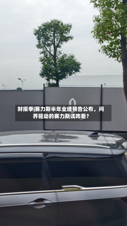 财报季|赛力斯半年业绩预告公布，问界驱动的赛力斯该咋看？