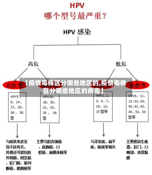 【疫情毒株区分哪些地区的,疫情毒株区分哪些地区的病毒】