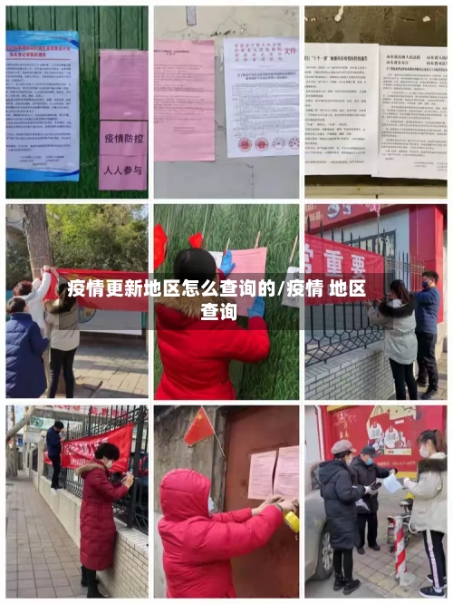 疫情更新地区怎么查询的/疫情 地区 查询