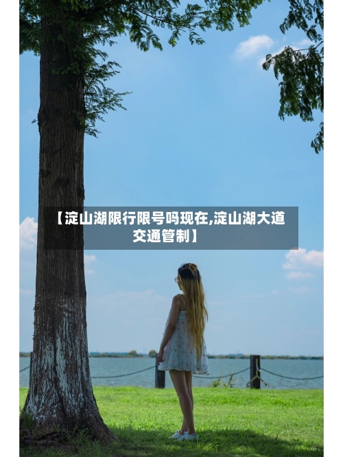 【淀山湖限行限号吗现在,淀山湖大道交通管制】