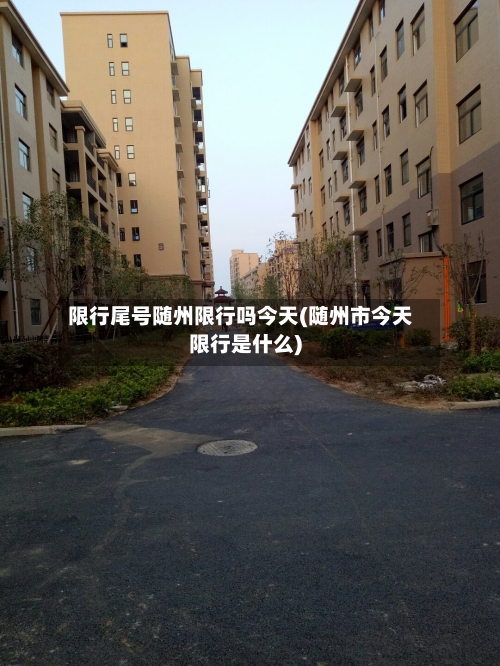 限行尾号随州限行吗今天(随州市今天限行是什么)