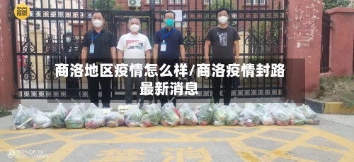 商洛地区疫情怎么样/商洛疫情封路最新消息