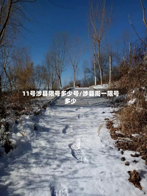 11号涉县限号多少号/涉县周一限号多少