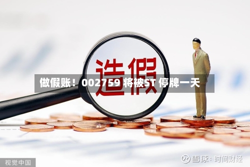 做假账！002759 将被ST 停牌一天