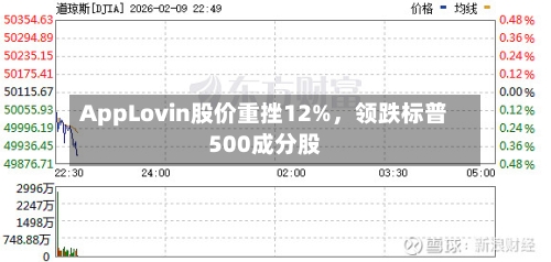 AppLovin股价重挫12%，领跌标普500成分股