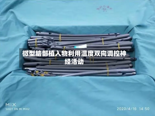 微型脑部植入物利用温度双向调控神经活动