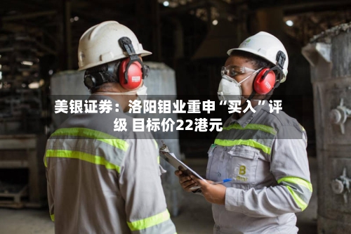 美银证券：洛阳钼业重申“买入”评级 目标价22港元-第1张图片
