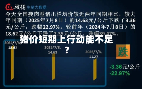 猪价短期上行动能不足？-第1张图片