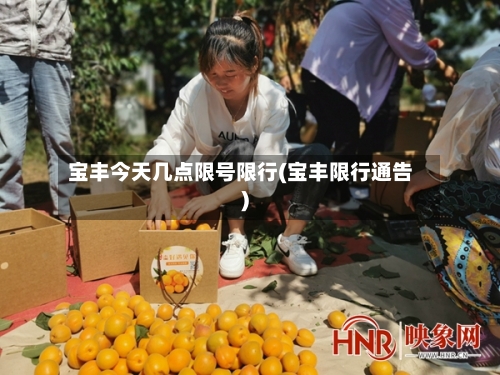 宝丰今天几点限号限行(宝丰限行通告)