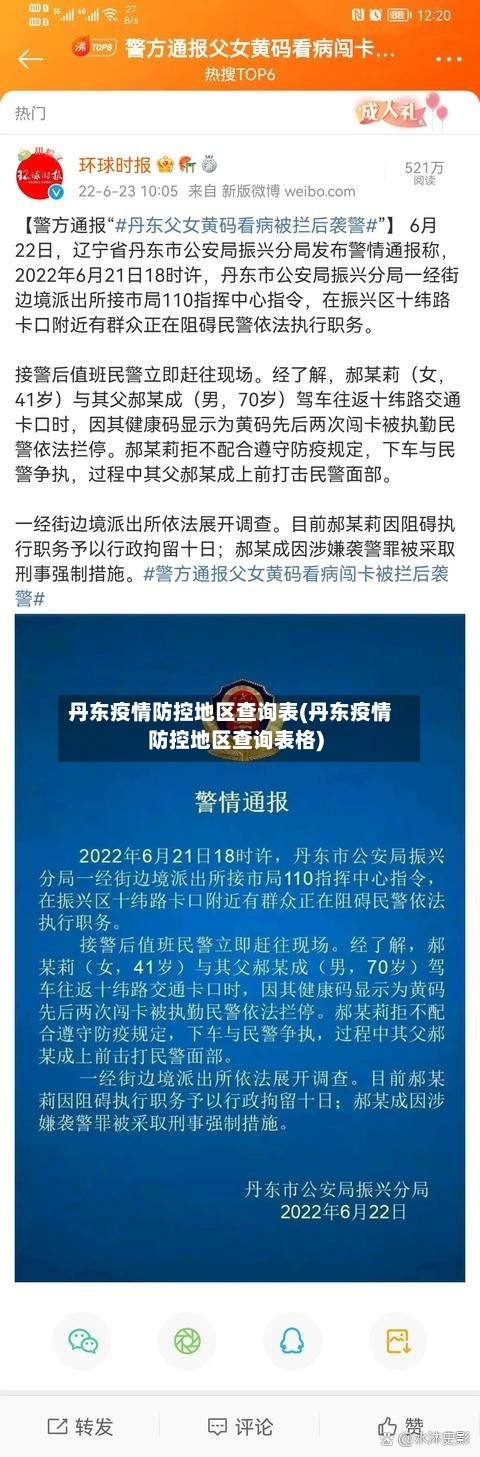 丹东疫情防控地区查询表(丹东疫情防控地区查询表格)