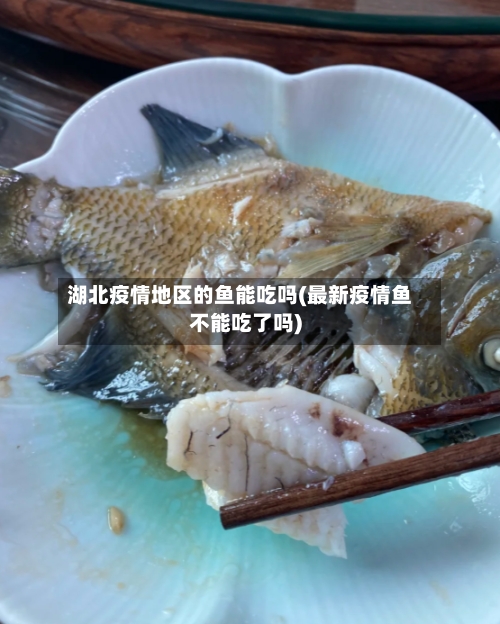 湖北疫情地区的鱼能吃吗(最新疫情鱼不能吃了吗)