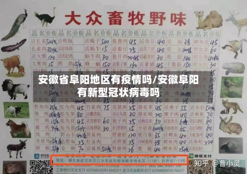 安徽省阜阳地区有疫情吗/安徽阜阳有新型冠状病毒吗