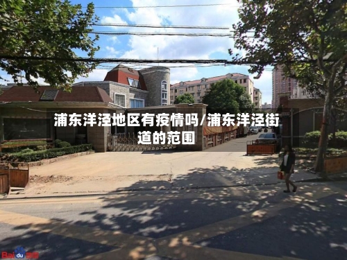 浦东洋泾地区有疫情吗/浦东洋泾街道的范围
