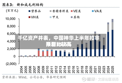 千亿资产并表，中国神华上半年扣非净利比较高预增15.6%