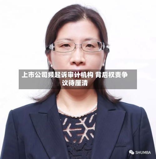 上市公司频起诉审计机构 背后权责争议待厘清