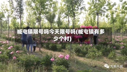 臧屯镇限号吗今天限号吗(臧屯镇有多少个村)