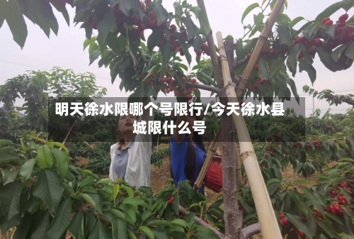 明天徐水限哪个号限行/今天徐水县城限什么号