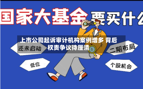 上市公司起诉审计机构案例增多 背后权责争议待厘清