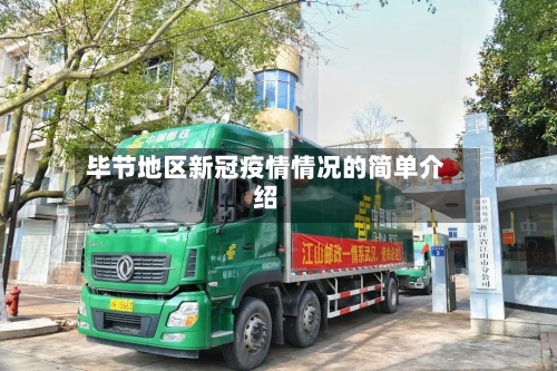 毕节地区新冠疫情情况的简单介绍