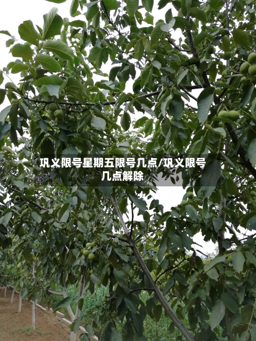 巩义限号星期五限号几点/巩义限号几点解除