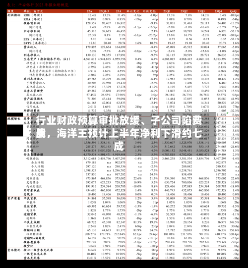 行业财政预算审批放缓、子公司陷费用
战,海洋王预计上半年净利下滑约七成