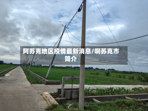阿苏克地区疫情最新消息/啊苏克市简介