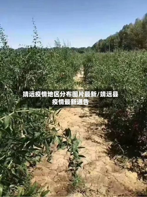 靖远疫情地区分布图片最新/靖远县疫情最新通告