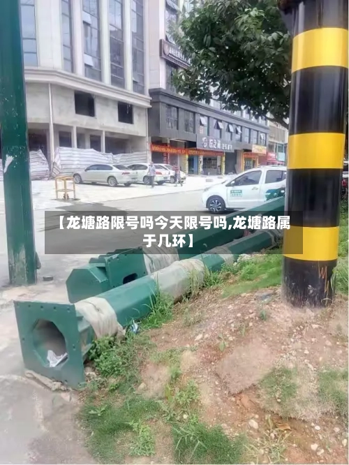 【龙塘路限号吗今天限号吗,龙塘路属于几环】