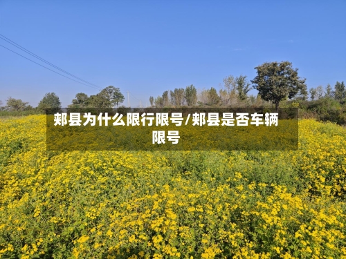 郏县为什么限行限号/郏县是否车辆限号