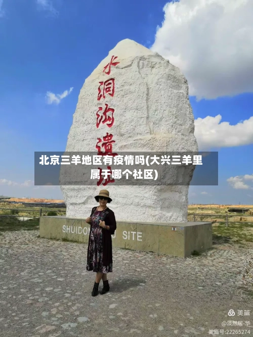 北京三羊地区有疫情吗(大兴三羊里属于哪个社区)