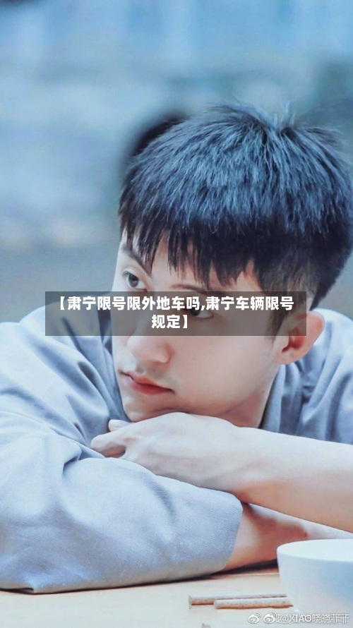 【肃宁限号限外地车吗,肃宁车辆限号规定】